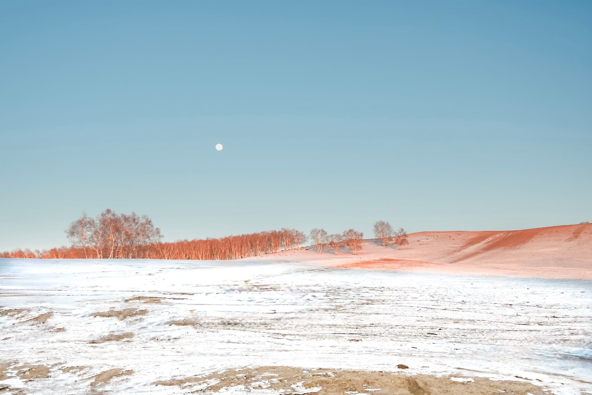 雪原金粉色晚霞